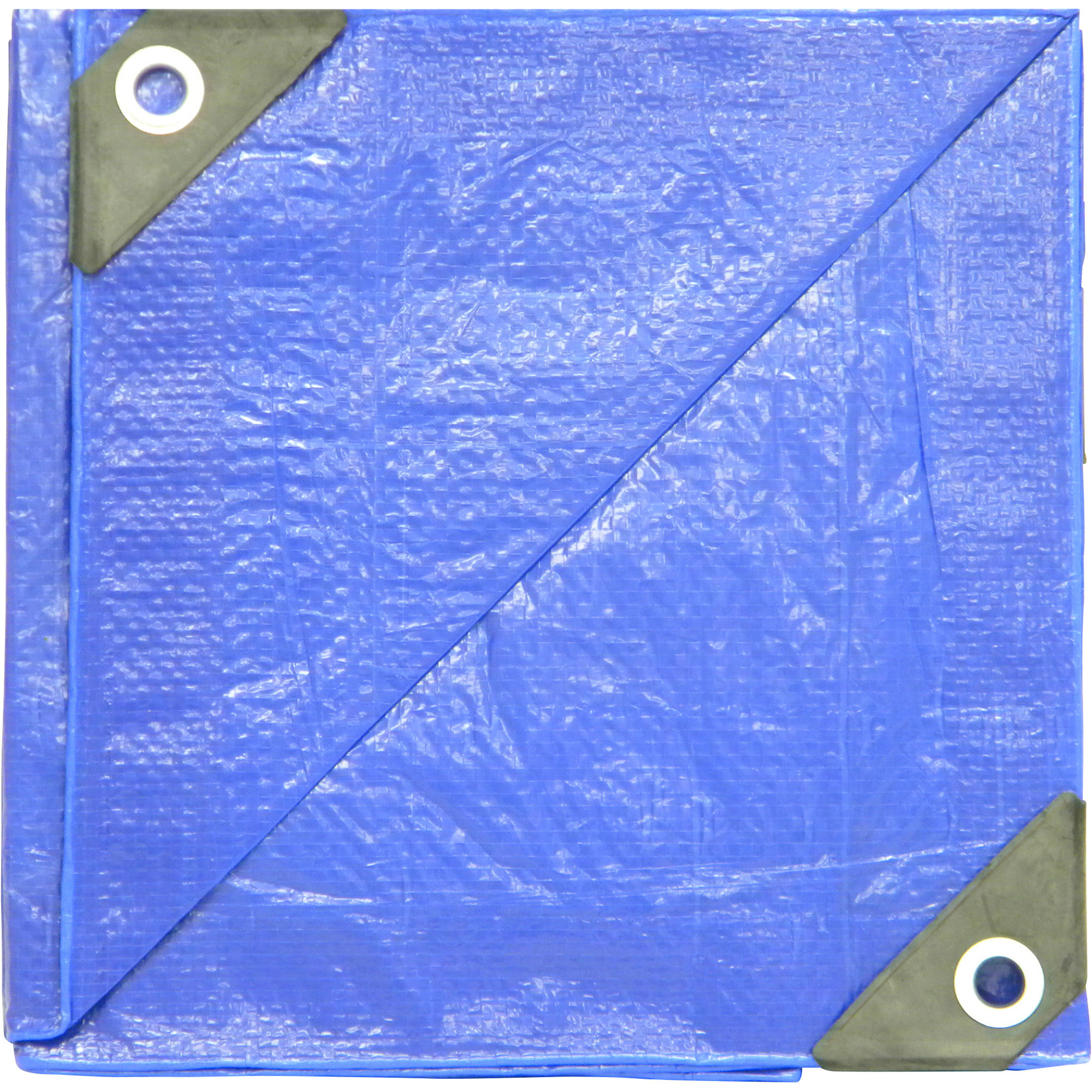 Dize Poly Tarp, Blue, 20ft. x 40ft., Model# PT2040